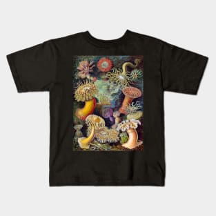 Vintage Art 1904 Haeckel Sea Anemones Flowers of the Sea Kids T-Shirt